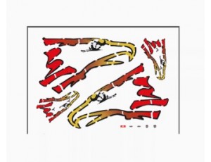 Freewing J-10A Vigorous Dragon 90mm EDF Jet Decal Set A